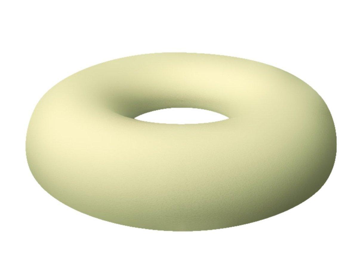 Harley Original Ring Cushion - Ingennov8